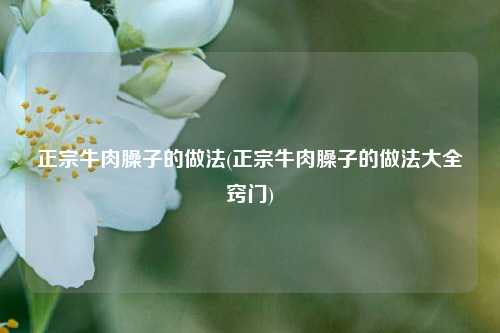 正宗牛肉臊子的做法(正宗牛肉臊子的做法大全窍门)