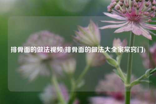 排骨面的做法视频(排骨面的做法大全家常窍门)