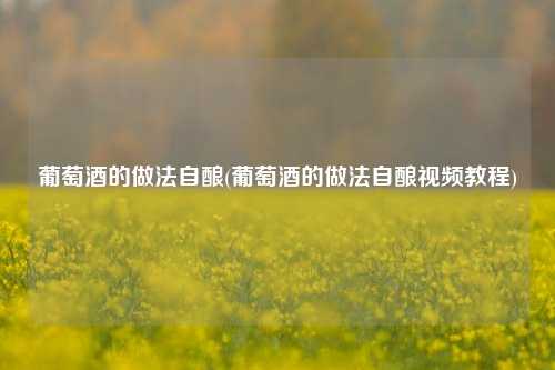 葡萄酒的做法自酿(葡萄酒的做法自酿视频教程)