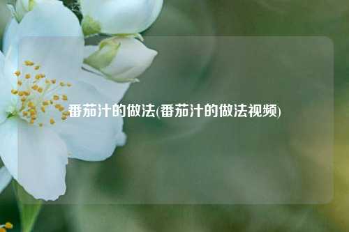 番茄汁的做法(番茄汁的做法视频)