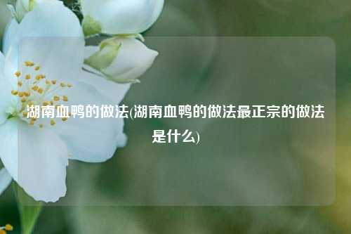 湖南血鸭的做法(湖南血鸭的做法最正宗的做法是什么)