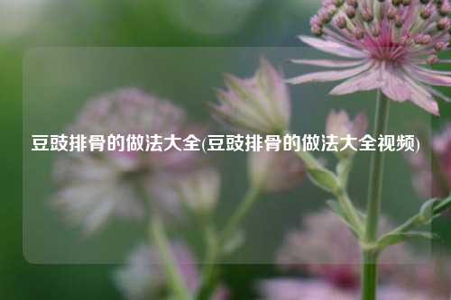 豆豉排骨的做法大全(豆豉排骨的做法大全视频)