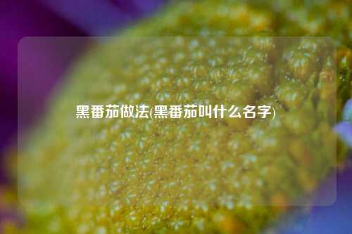 黑番茄做法(黑番茄叫什么名字)