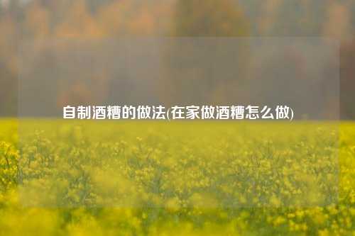 自制酒糟的做法(在家做酒糟怎么做)