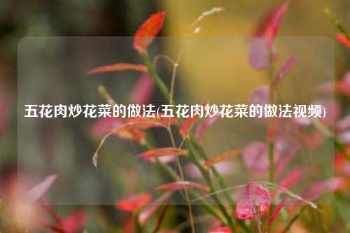 五花肉炒花菜的做法(五花肉炒花菜的做法视频)