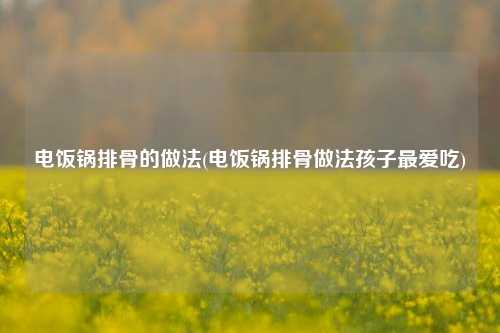 电饭锅排骨的做法(电饭锅排骨做法孩子最爱吃)