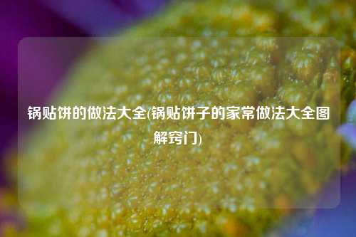 锅贴饼的做法大全(锅贴饼子的家常做法大全图解窍门)