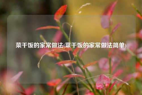 菜干饭的家常做法(菜干饭的家常做法简单)