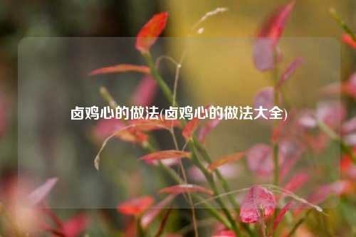 卤鸡心的做法(卤鸡心的做法大全)