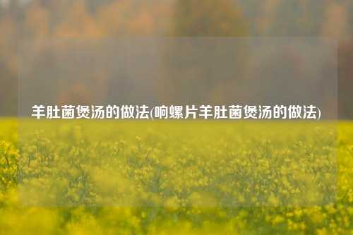 羊肚菌煲汤的做法(响螺片羊肚菌煲汤的做法)