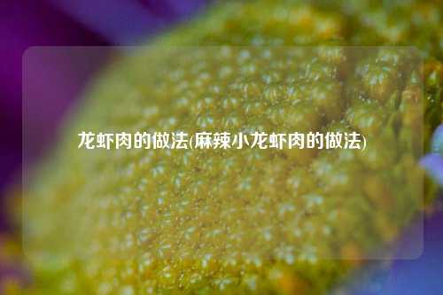 龙虾肉的做法(麻辣小龙虾肉的做法)
